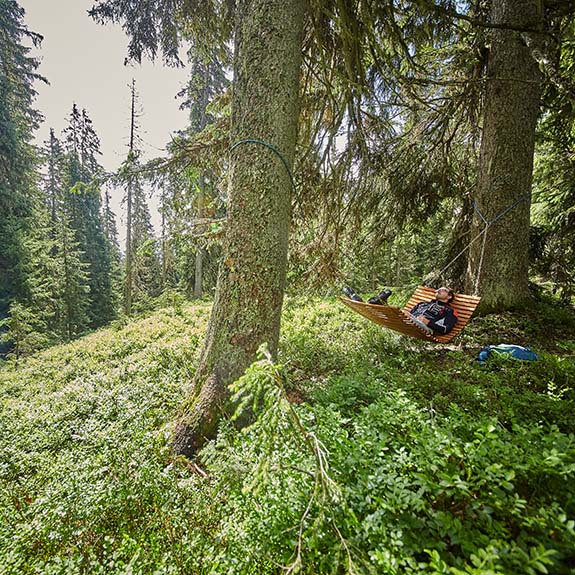 Waldwellness Saalbach