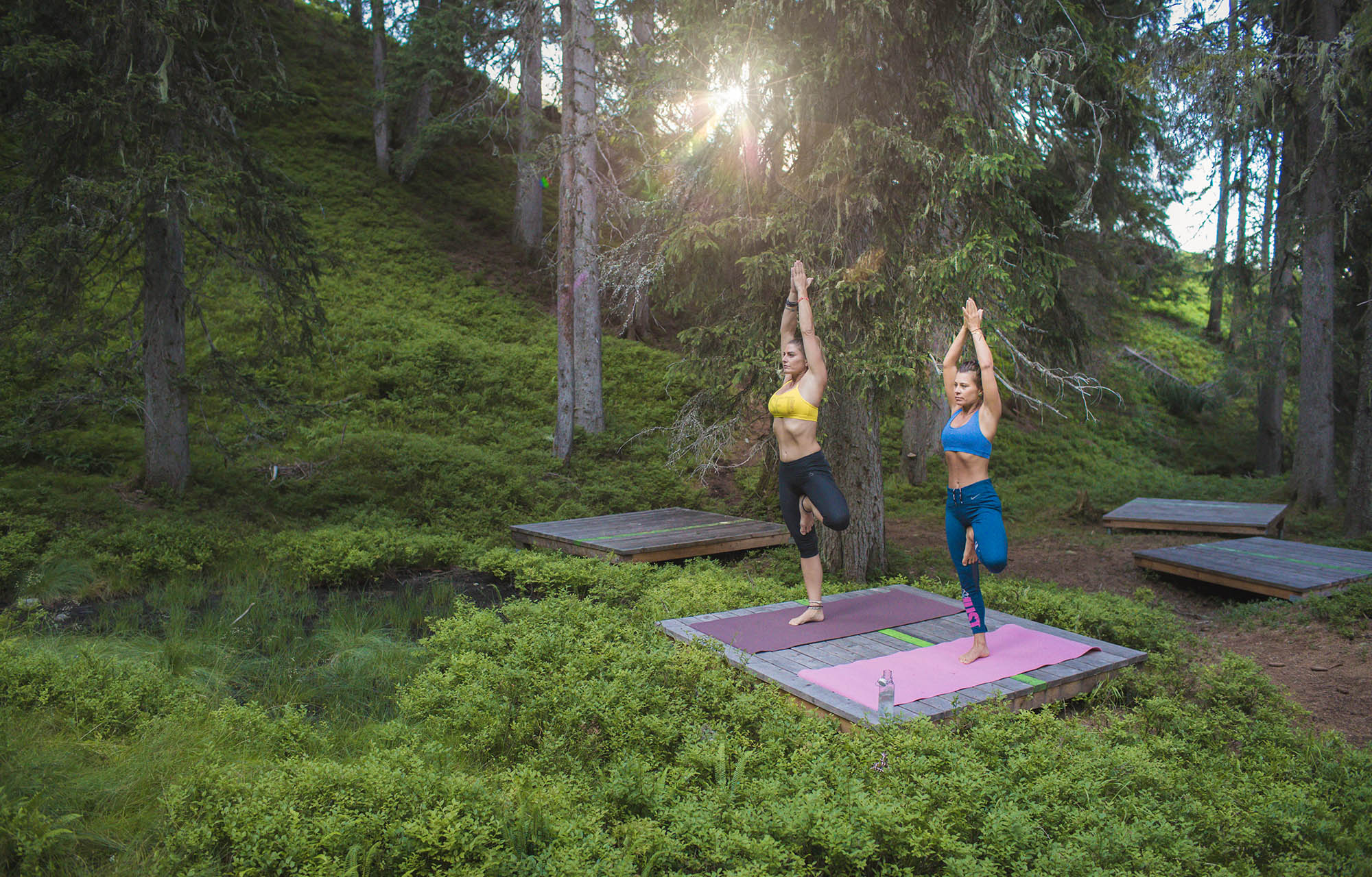 Waldyoga Saalbach Hinterglemm